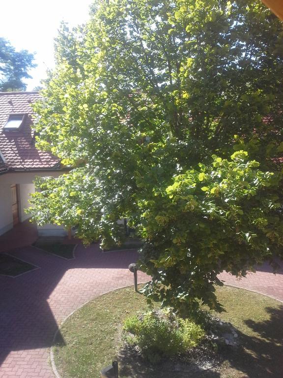 Apartment Nagelj Моравске-Топлице Экстерьер фото